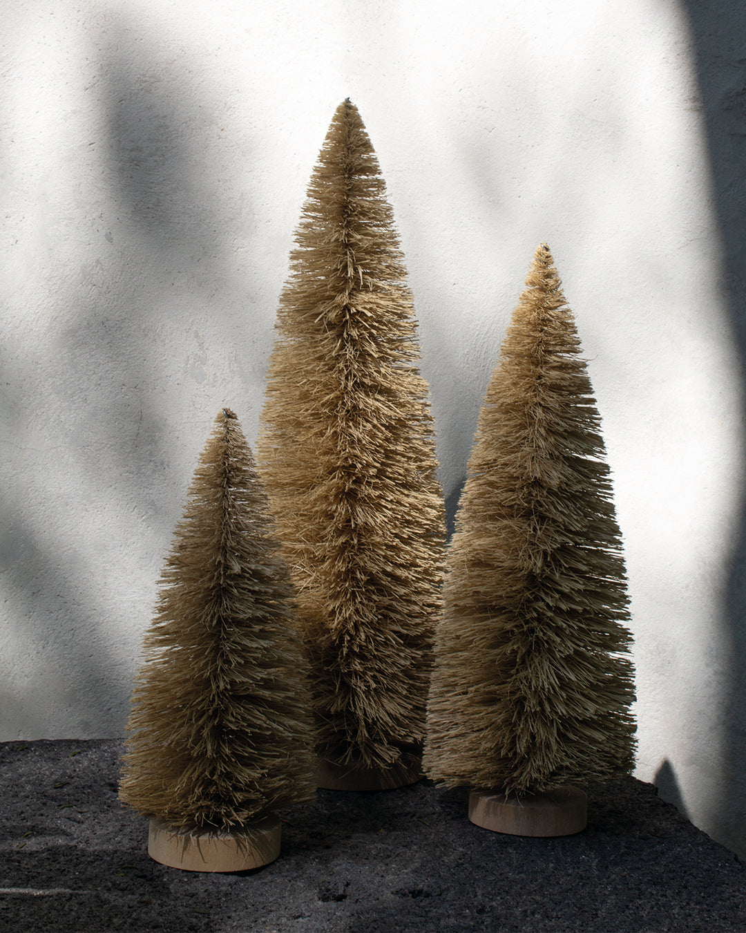 Árboles Decorativos