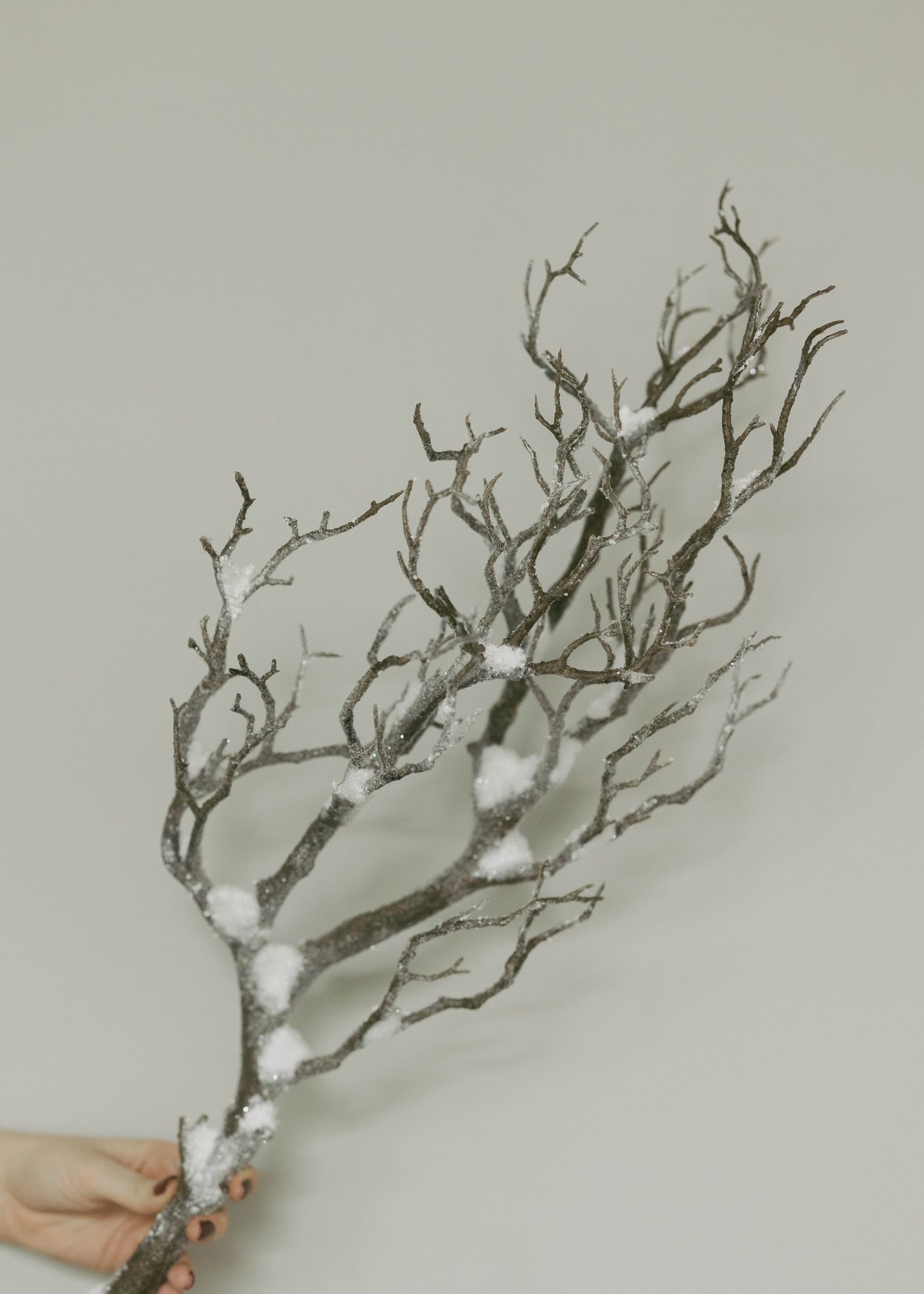 Rama Escarchada 35"