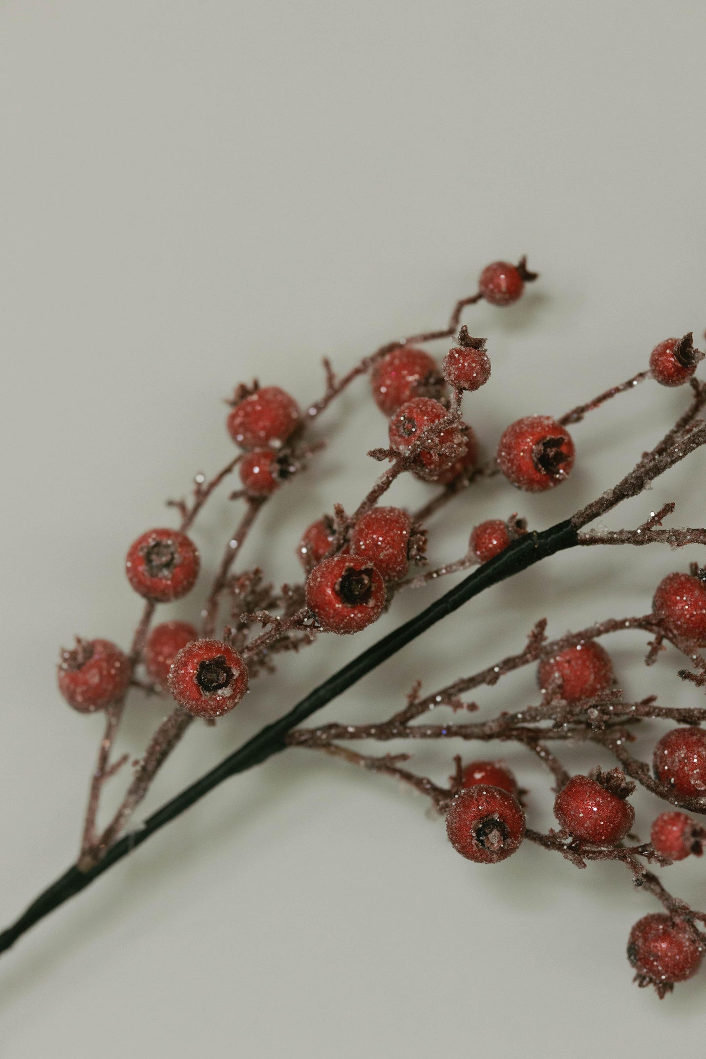 Vara Berries con Cristales 30"
