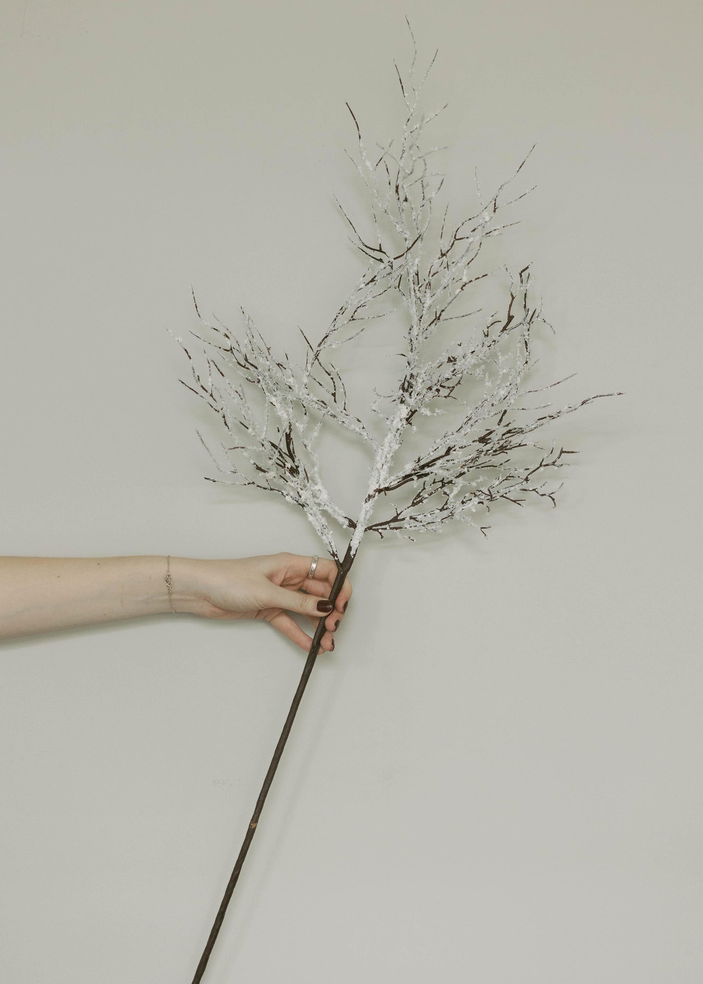 Vara Ramas Nevada 36"