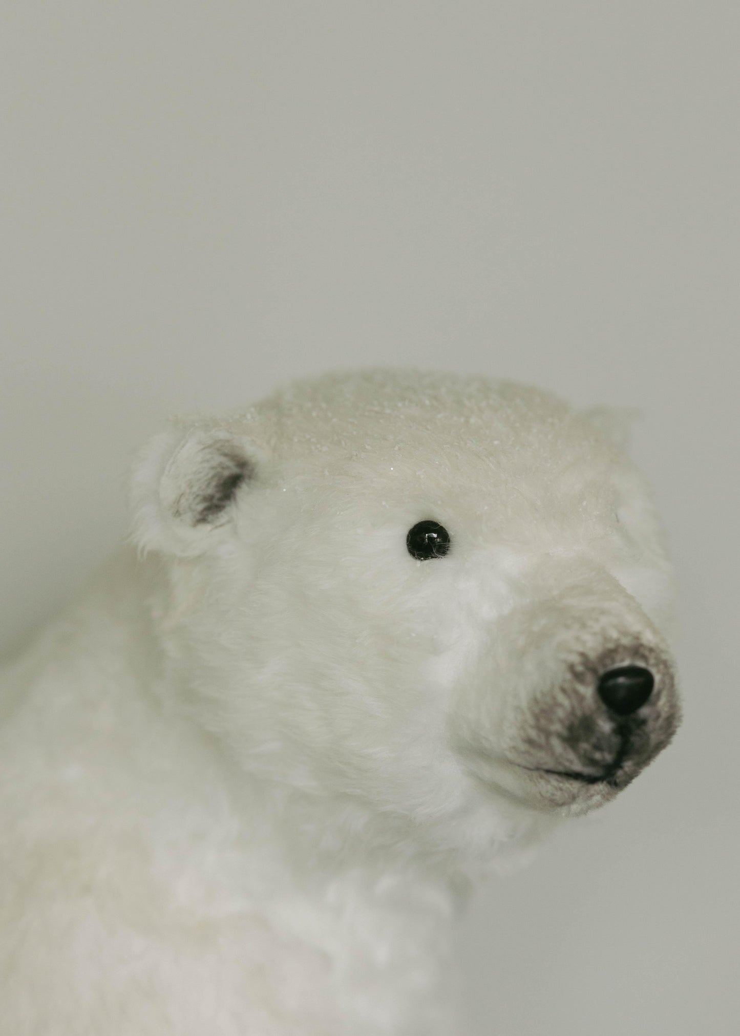Oso 48 CM