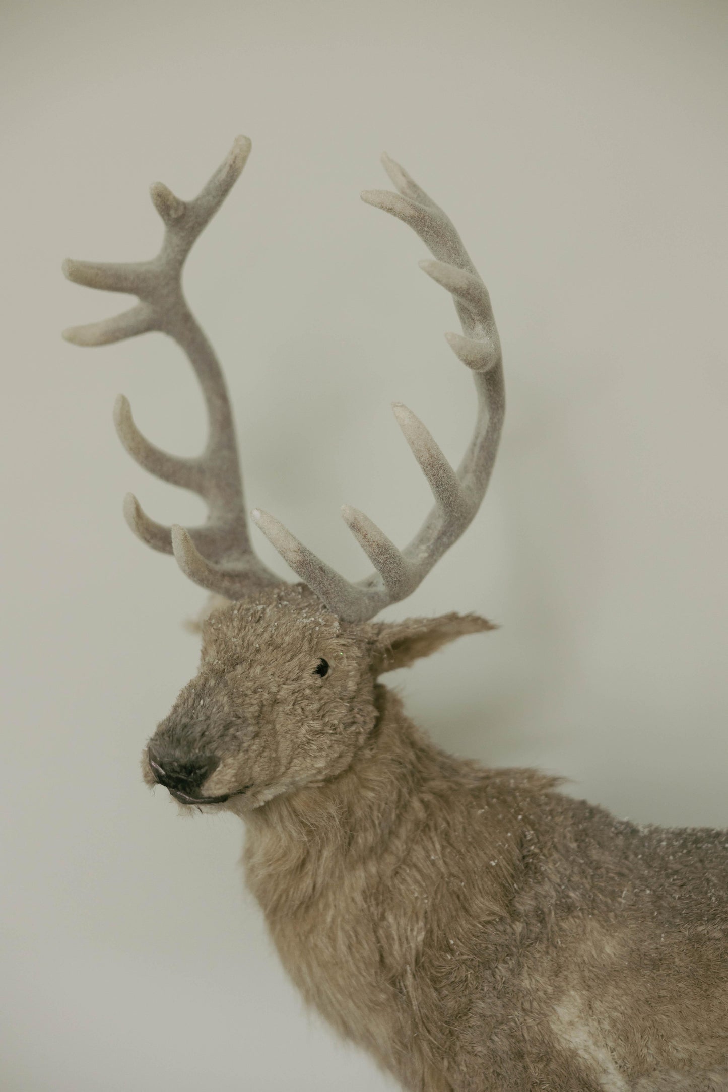 Venado 74 CM