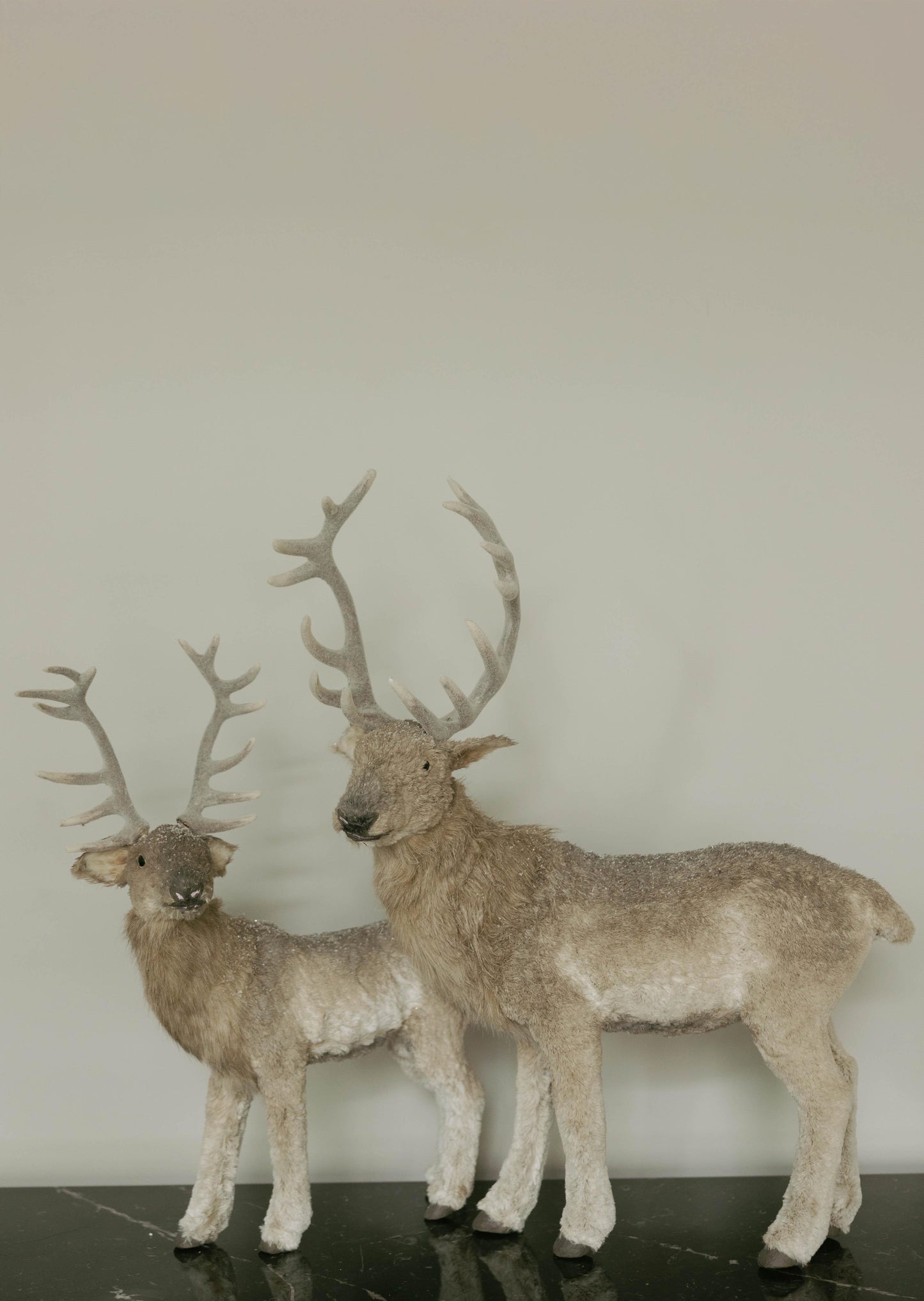Venado 74 CM