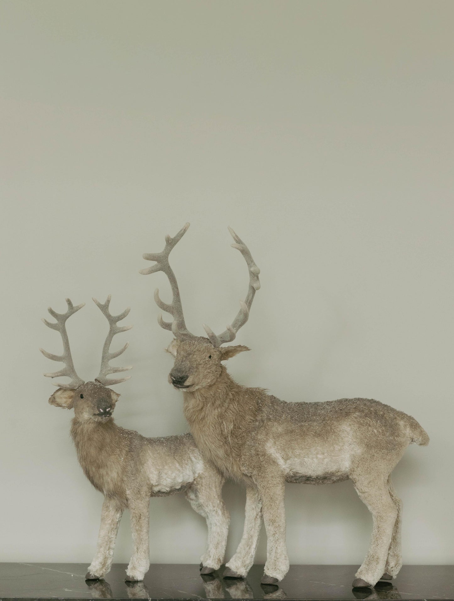 Venado 57 CM