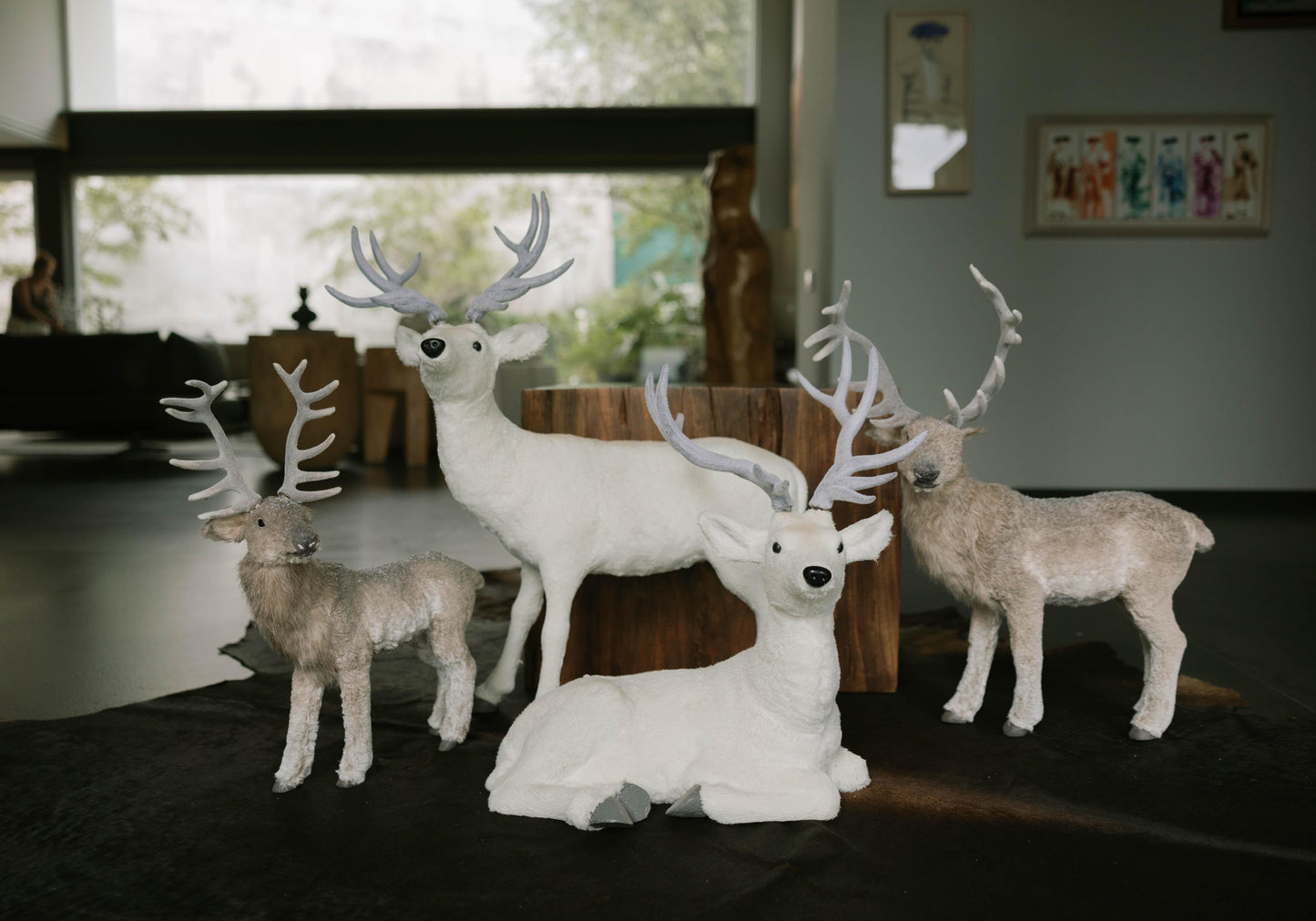 Venado 61CM