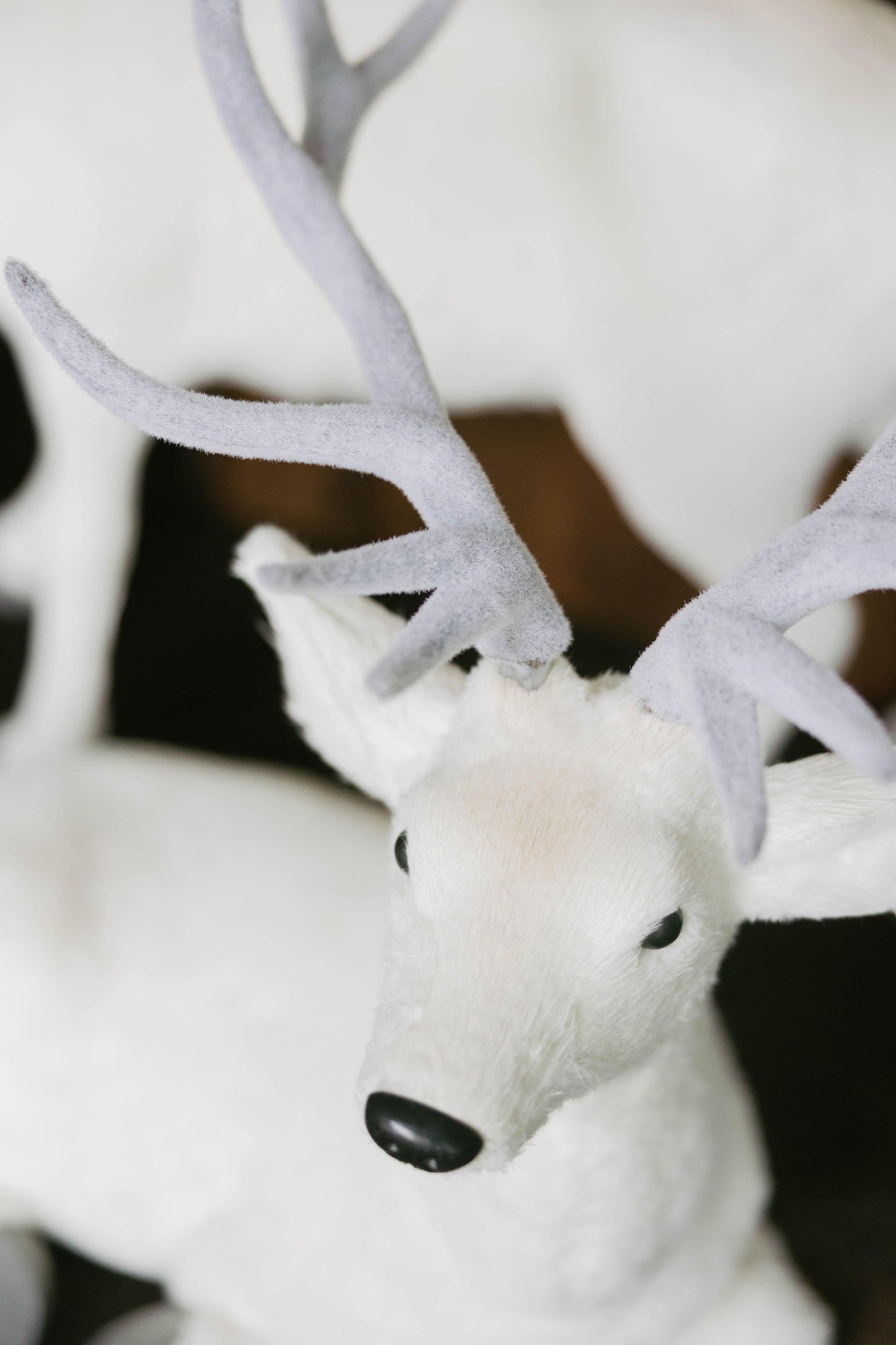Venado 61CM