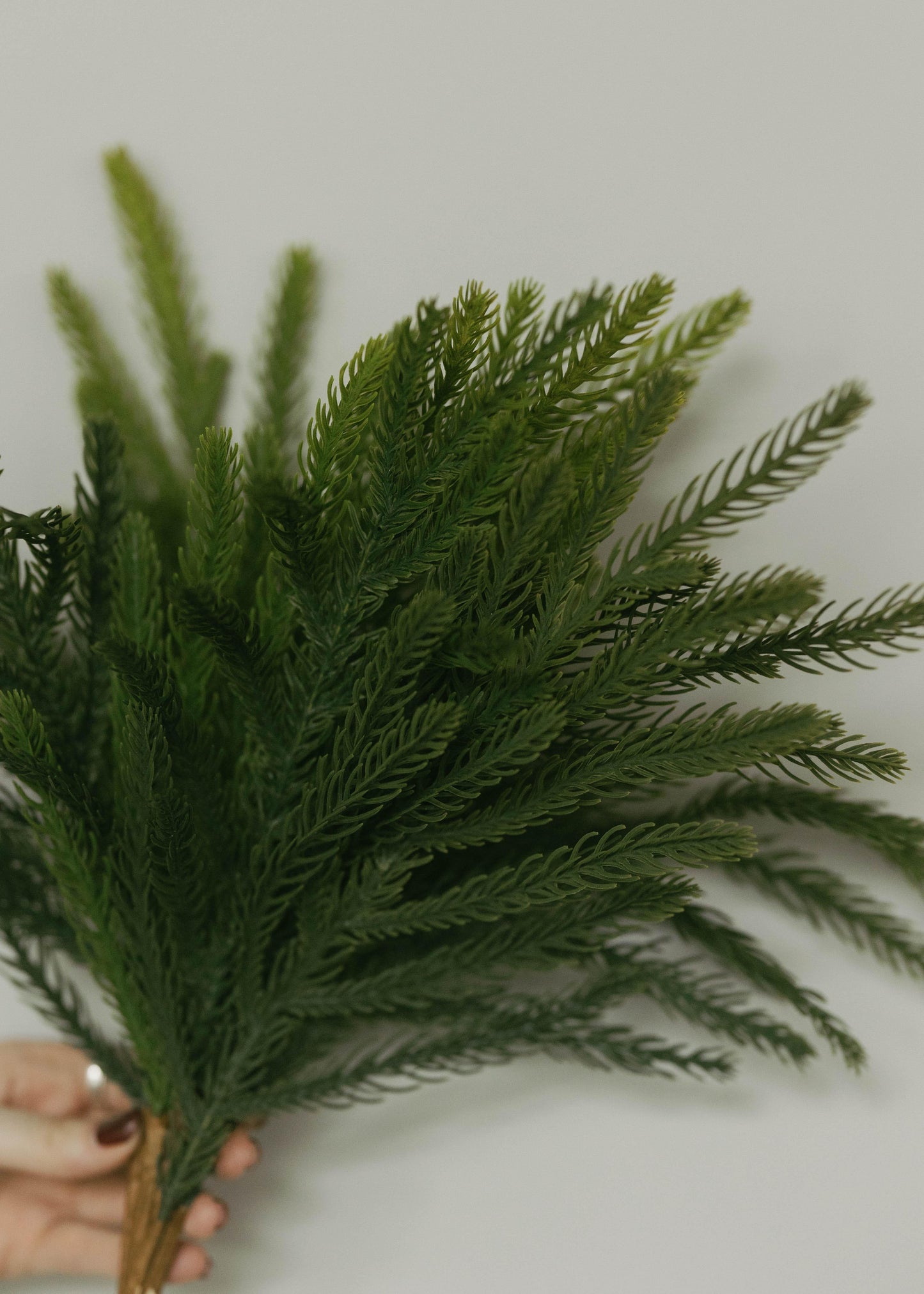 Softpine Bundle 18"