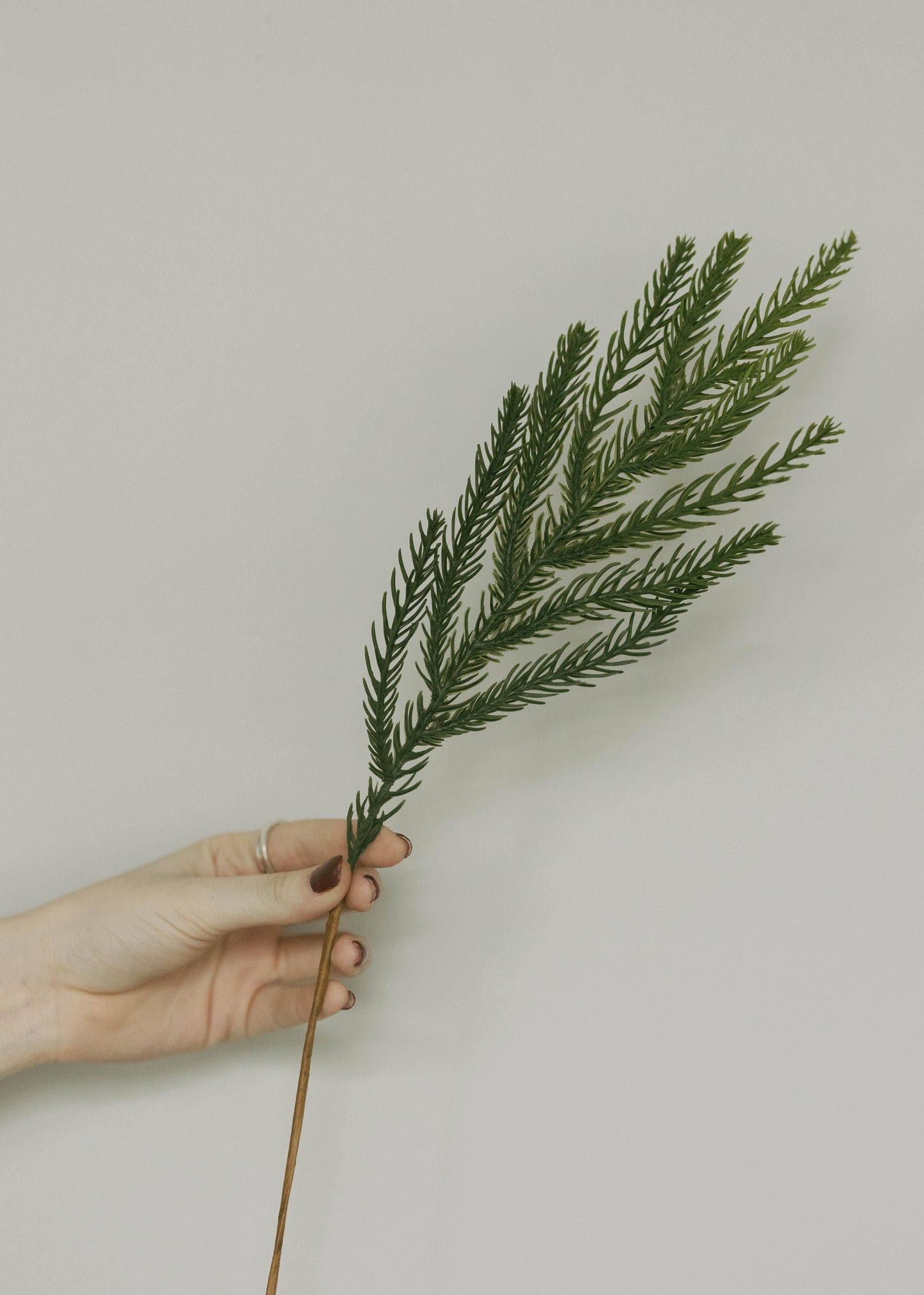 Softpine Bundle 18"