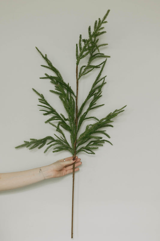 Norfolk Pine Branch 37"
