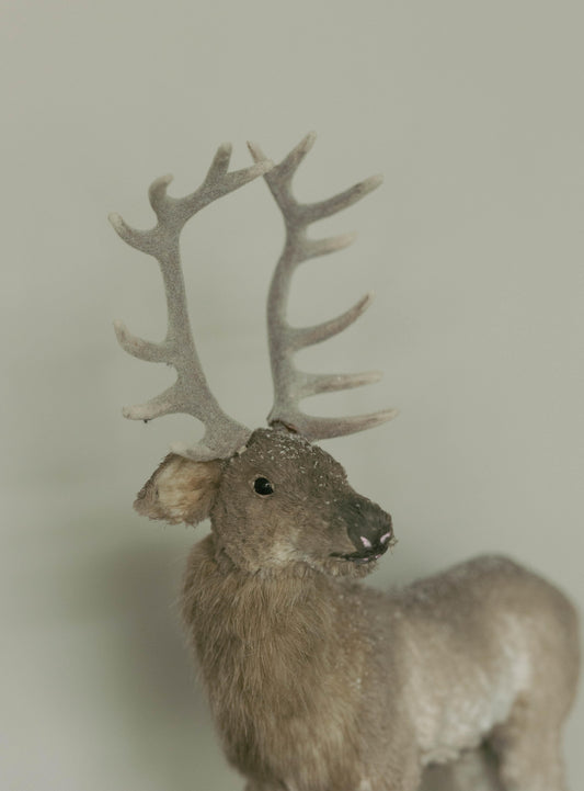 Venado 57 CM