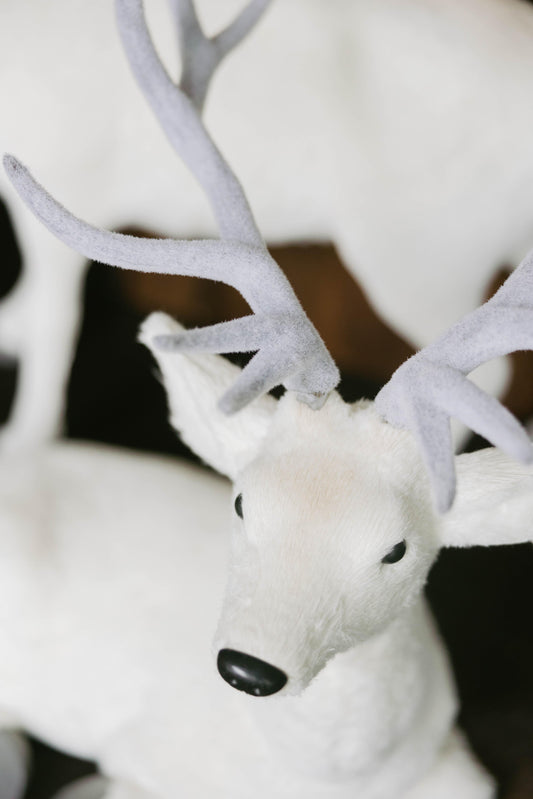 Venado 61CM